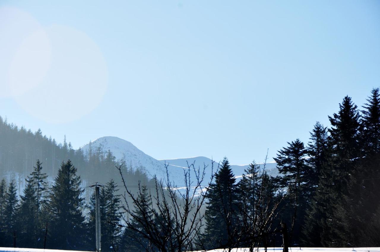 Apartamenty Jszi Zakopane Extérieur photo